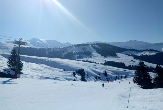 Carnet - Blancs, Bleus, Bons, Beaux d'un Ski and Family, de Megève à Angers - Mars 2022 Sl_22MEGSKIARBOIS19